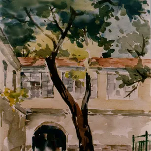 Watercolor & Gouache